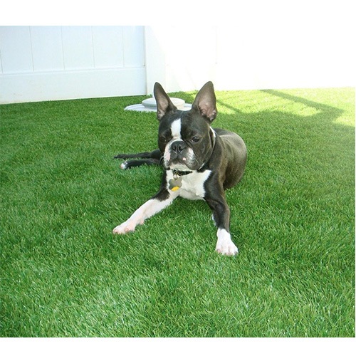 5. Artificial lawn Synthetic Grass