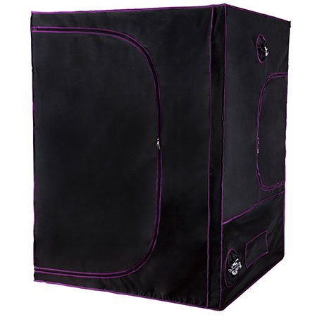 3. Apollo Horticulture 60