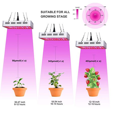 2. Roleadro 1000W LED Grow Light