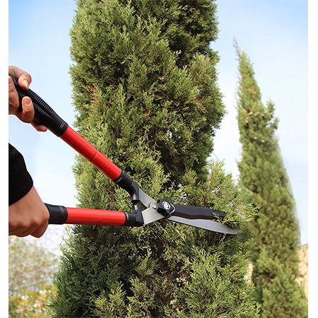 9. TABOR TOOLS Hedge Shears 