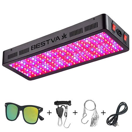 8. BESTVA DC Series 2000W LED Light