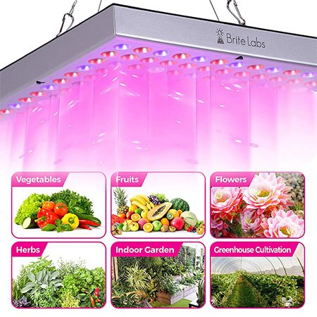 4. Brite Labs LED Grow Lights