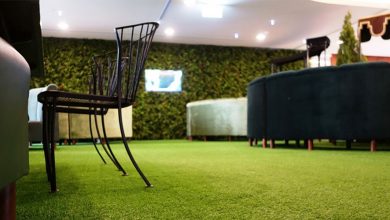 Best Artificial Grass