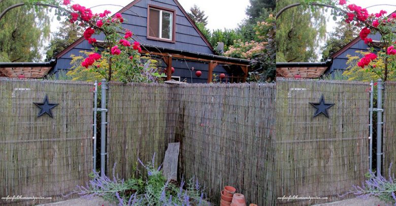Best Bamboo Fencing