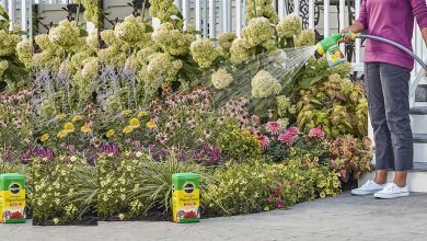 Best Bloom Booster Fertilizers