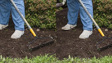 Best Bow Rakes For Your Garden & Lawn