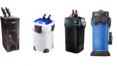 Best Canister Filter For Aquarium