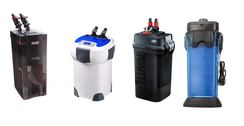 Best Canister Filter For Aquarium