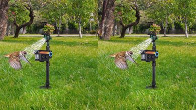 Best Cat Repellents For Keeping Your Cat Away