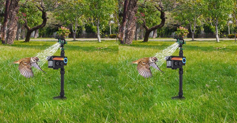 Best Cat Repellents For Keeping Your Cat Away