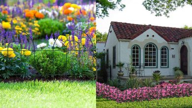 Best Garden Fences For Keeping Deer Out