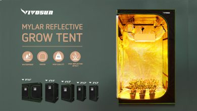Best Grow Tents For Indoor Plant Growing
