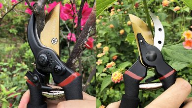 Best Hedge Shears For Trimming Your Decorative Plants