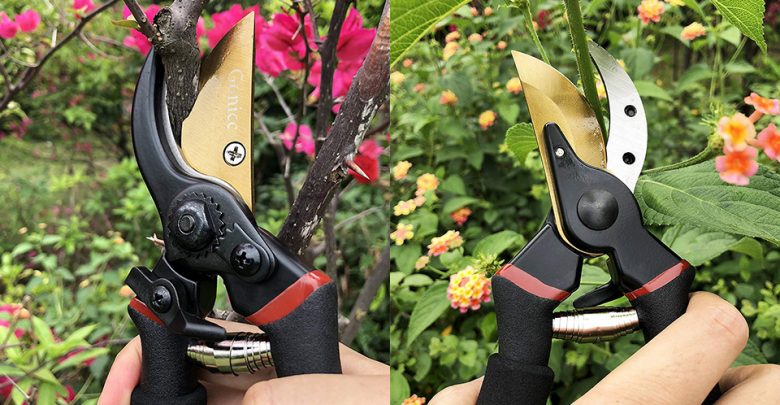 Best Hedge Shears For Trimming Your Decorative Plants