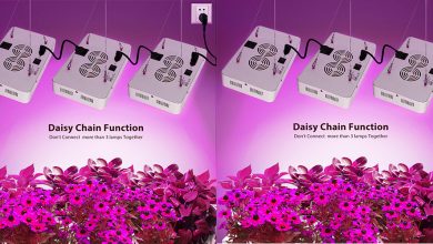Best Led Grow Lights For Indoor Gardening