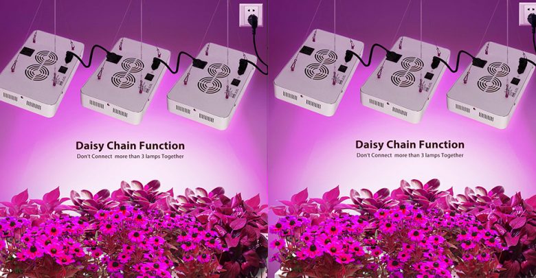 Best Led Grow Lights For Indoor Gardening