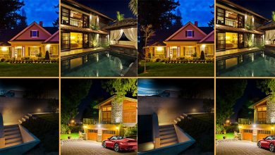 Best Outdoor Solar Lights For A Happy Garden