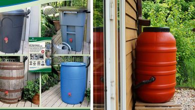 Best Rain Barrel Diverters For Lawn and Garden