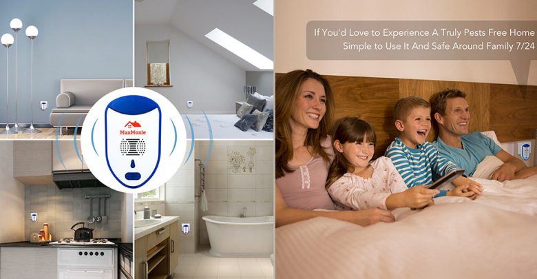 Best Ultrasonic Pest Repellers For Your Garden