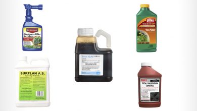 What Is The Best Crabgrass Killer For Lawns