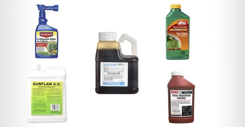 What Is The Best Crabgrass Killer For Lawns