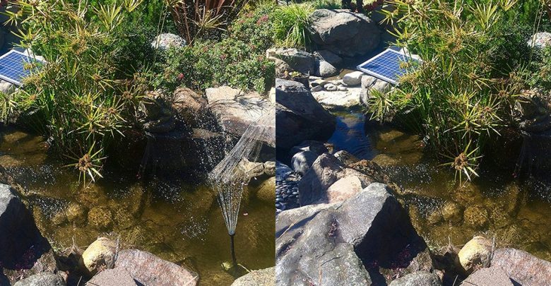 Best Solar Powered Water Pump