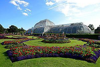 11. Royal Botanic Gardens 