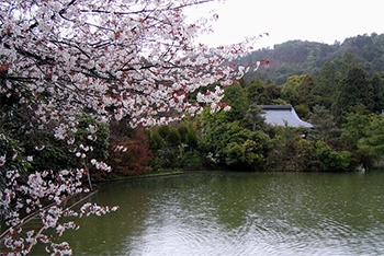 3. Ryōan-Ji Garden (Kyoto, Japan)