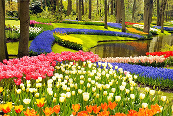 12. Keukenhof Garden (Lisse, Netherlands)