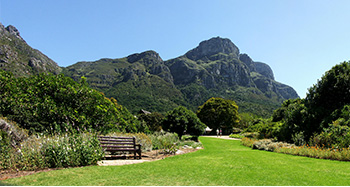7. Kirstenbosch (Cape Town, South Africa)