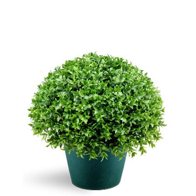 5. National Tree 13 Inch Globe Japanese Holly Bush