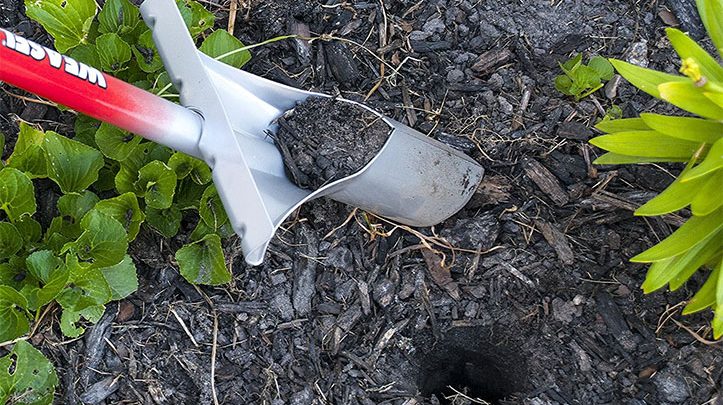 Best Bulb Planter Tool