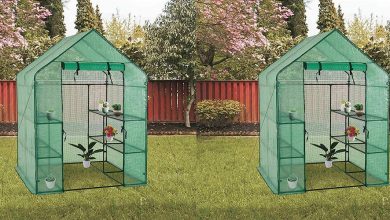 Best Greenhouse Kits For Protection for Your Plants