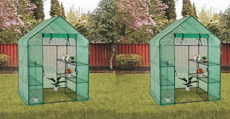 Best Greenhouse Kits For Protection for Your Plants