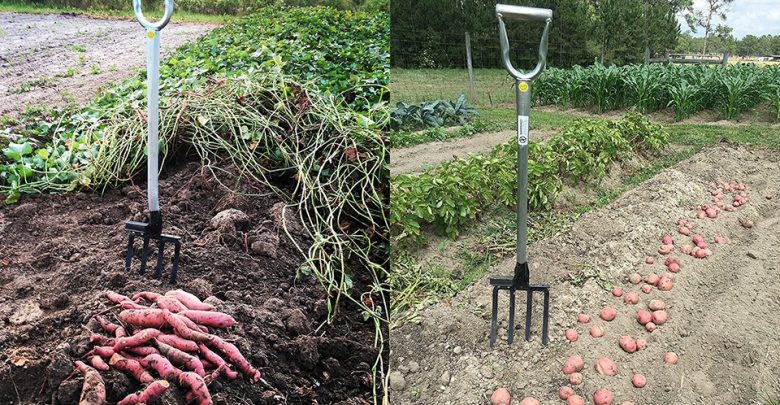 Best Heavy Duty Garden Fork