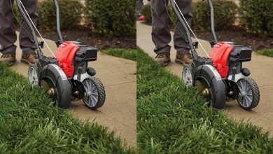 Best Lawn Edgers For Your Backyard