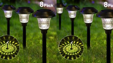Best Solar Path Lights For Your Lawn