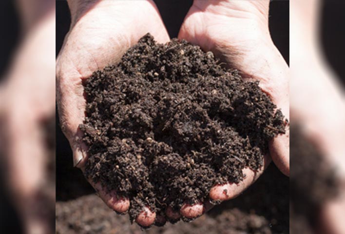 Choose The Perfect Time To Make Compost